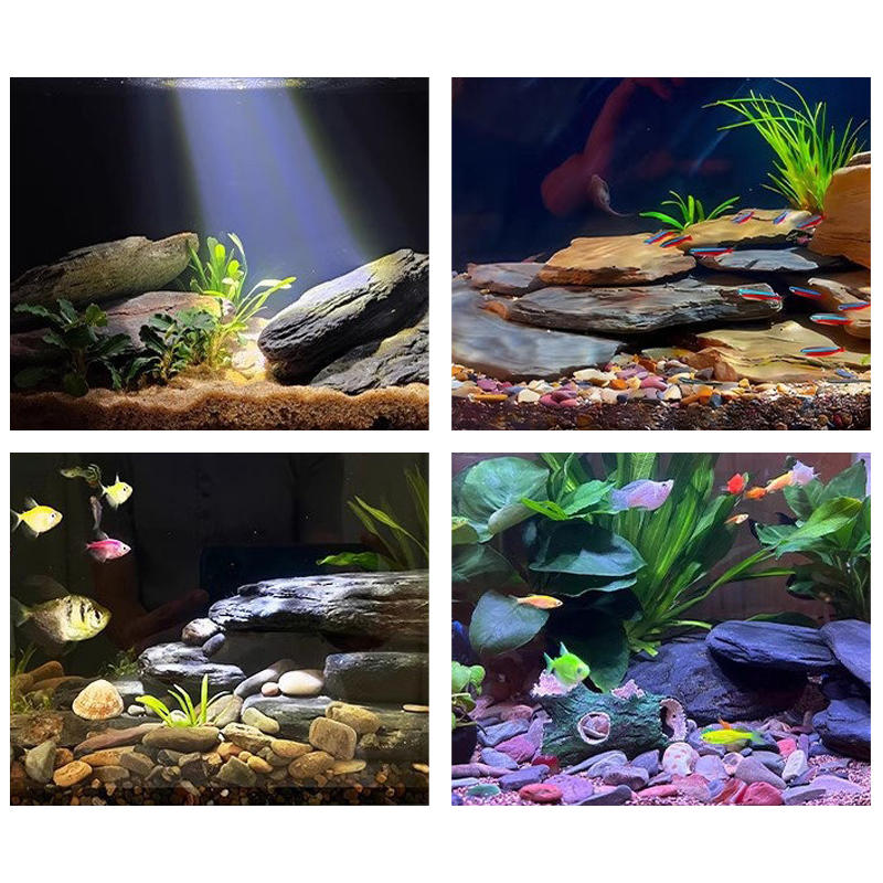 500/1000g Fish Tank Landscape  - Aquarium Marine Fish review and price