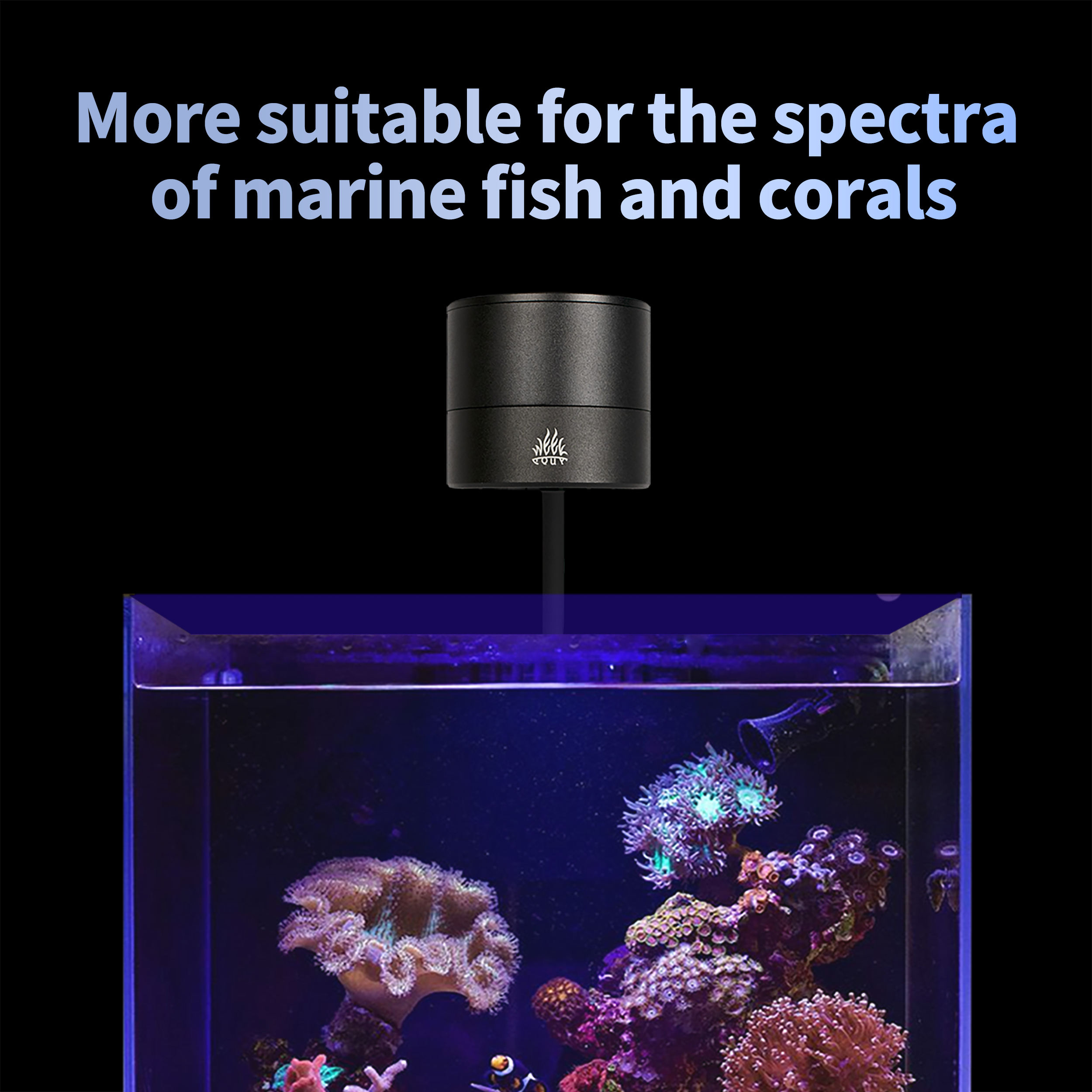 T95 Sea 50W Full Spectrum Mari - Marine Aquarium Timing review and price