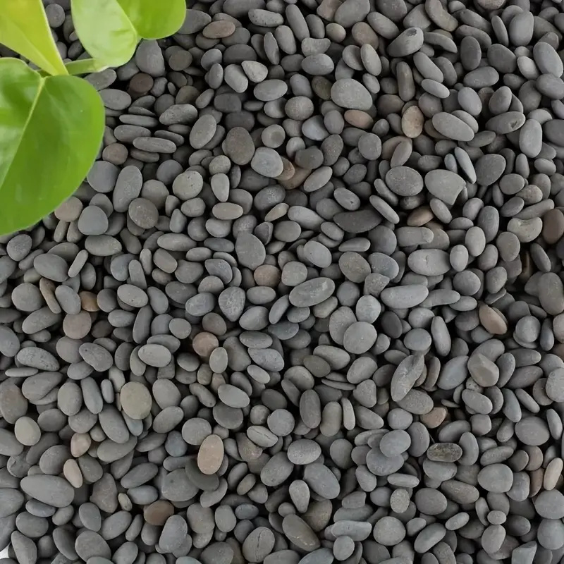 20Pcs Natural River Rocks Smoo - Aquarium Marine Fish review and price