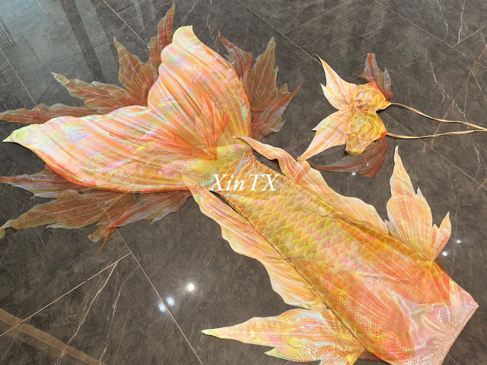 Professional adult mermaid tai - Aquarium & Marine Museum Kota Kinabalu review and price