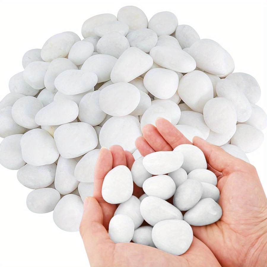 200/400g White High Polished N - Aquarium Marine Fish review and price