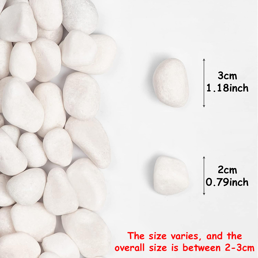 200/400g White High Polished N - Aquarium Marine Fish review and price