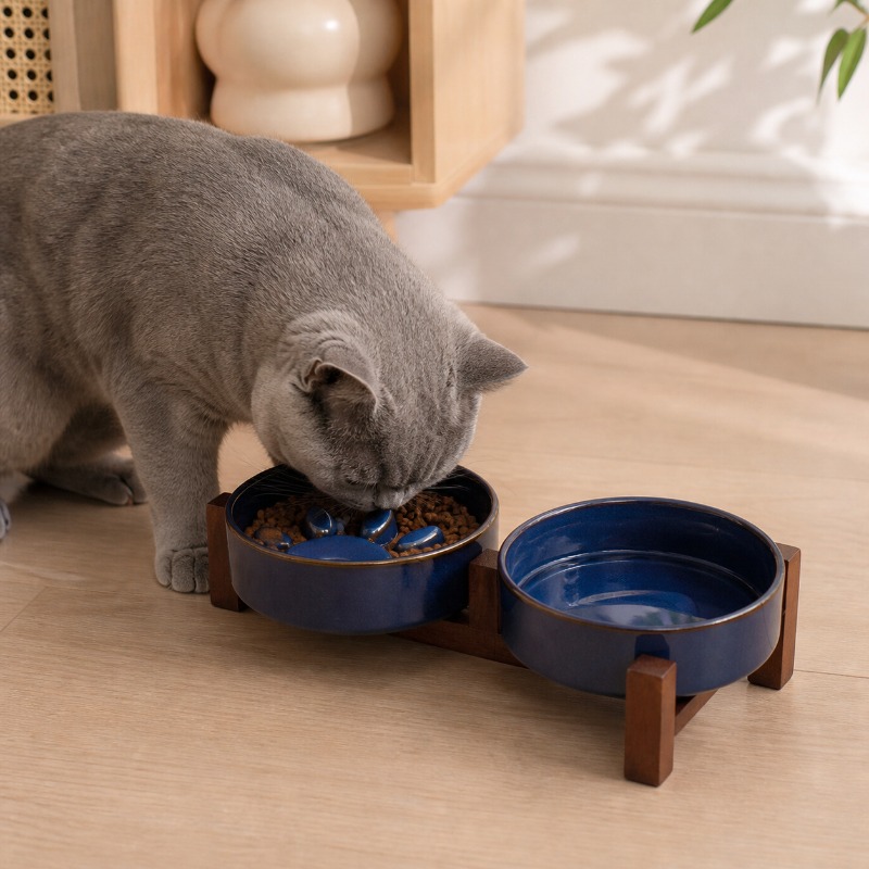 Japanese-style Kiln Ceramic Pe - Royal Canin Food Medium review and price