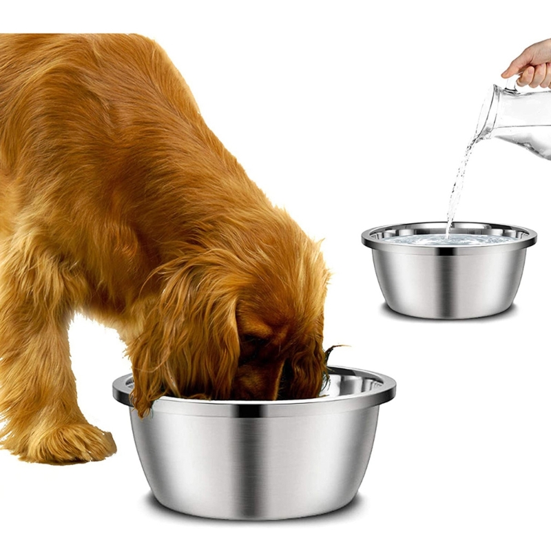 Stainless Steel Dog Feeders 20 - Royal Canin Food Medium review and price