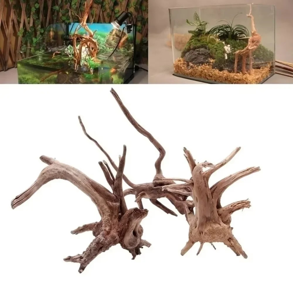 （15-20cm） Natural Driftwood Aq - Aquarium Marine Fish review and price