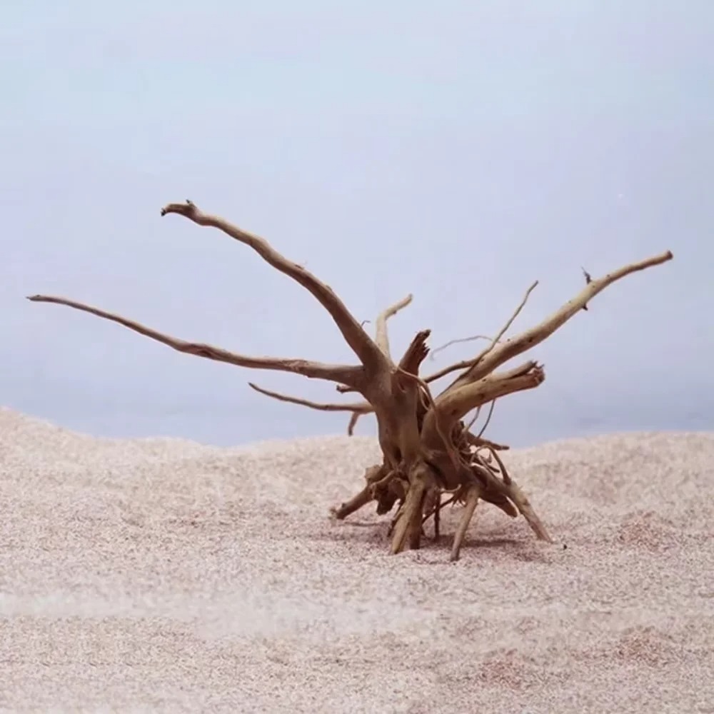 （15-20cm） Natural Driftwood Aq - Aquarium Marine Fish review and price