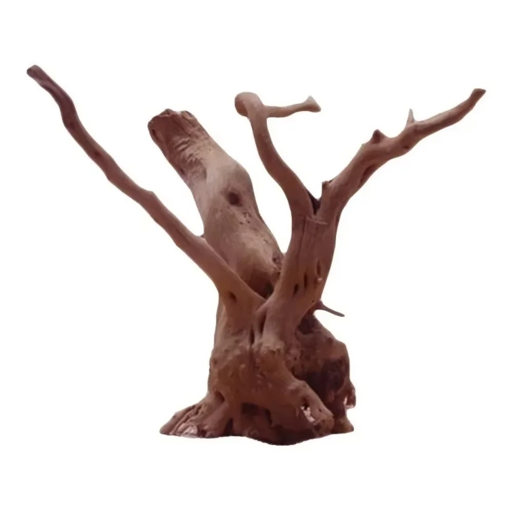 （15-20cm） Natural Driftwood Aq - Aquarium Marine Fish review and price