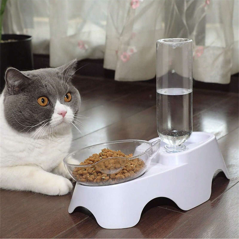 1PC Double Dog Cat Bowls Pets  - Royal Canin Food Medium review and price