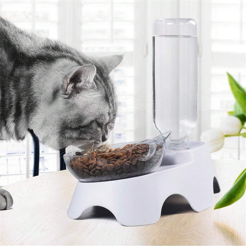 1PC Double Dog Cat Bowls Pets  - Royal Canin Food Medium review and price