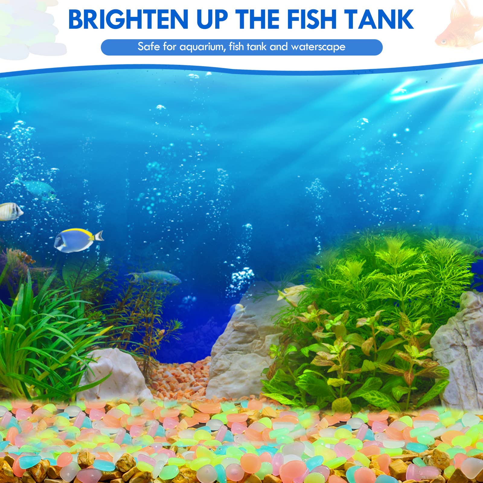 100Pcs Glow in the Dark Garden - Aquarium Marine Fish review and price