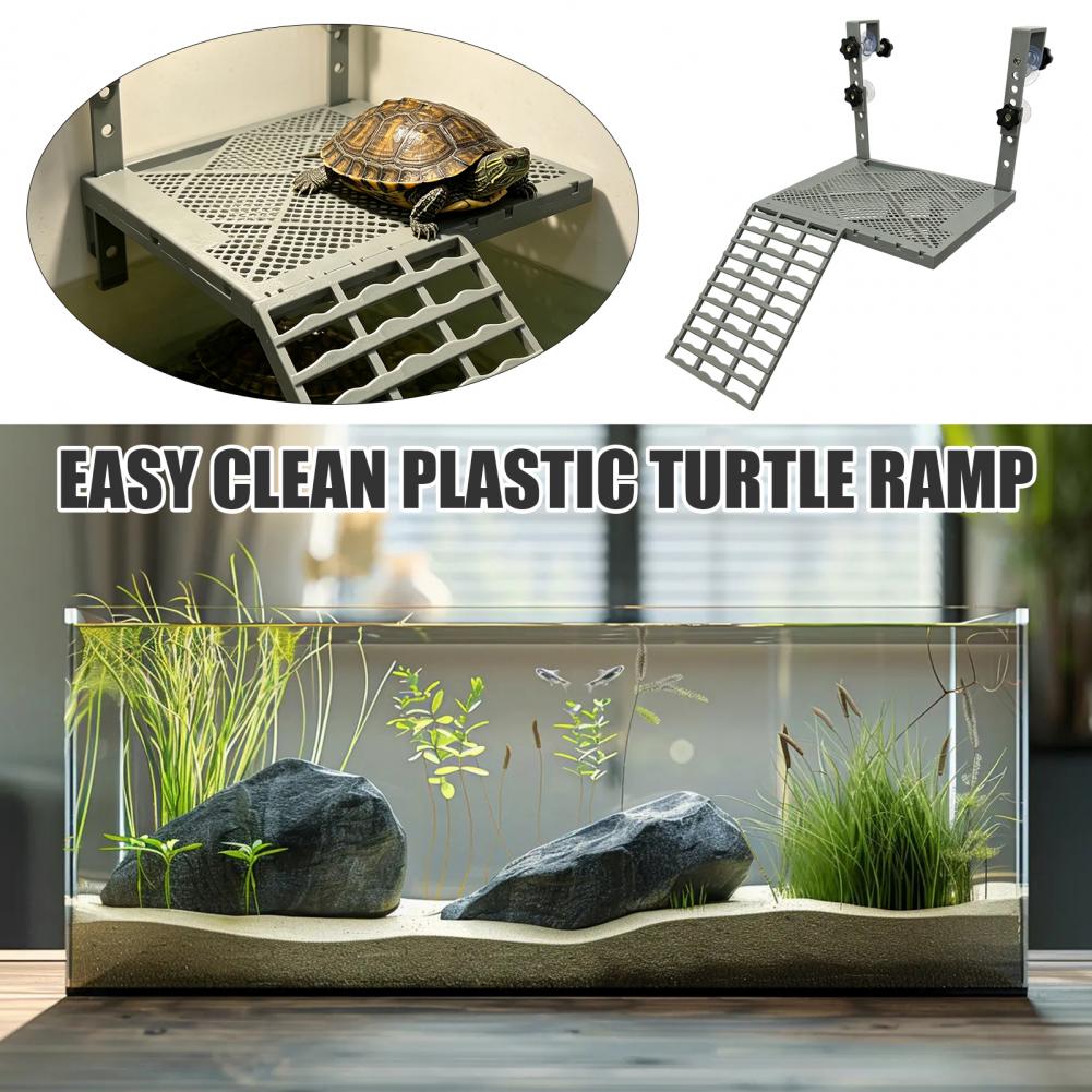 Aquarium Decoration Solid Form - Aquarium Marine Fish review and price