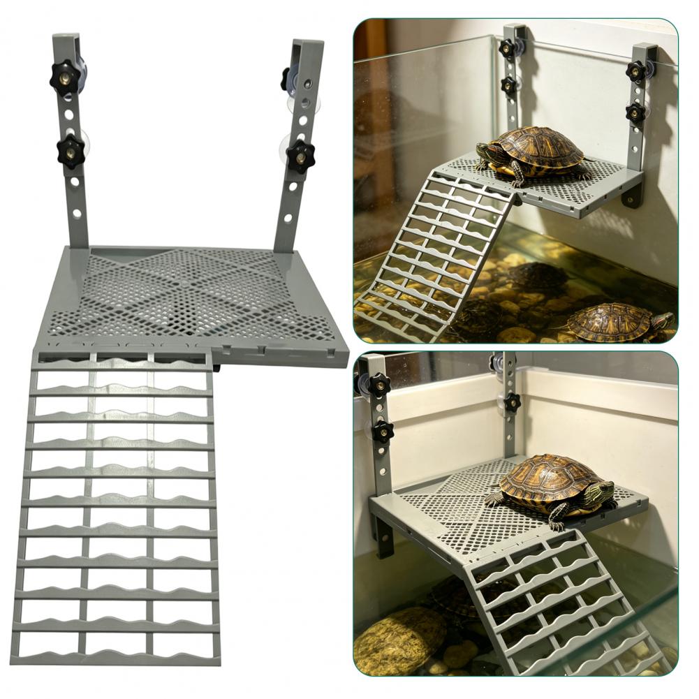 Aquarium Decoration Solid Form - Aquarium Marine Fish review and price