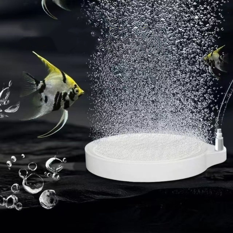 Nano Disc Air Stone Oxygen Aer - Marine Aquarium Nano review and price
